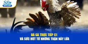 Đá Gà Trực Tiếp C1 Và Sức Hút Từ Những Trận Nảy Lửa