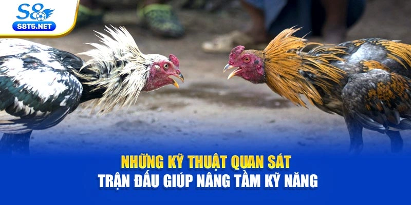 Những kỹ thuật quan sát trận đấu giúp nâng tầm kỹ năng